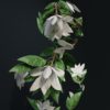 Stracthu - Image 3